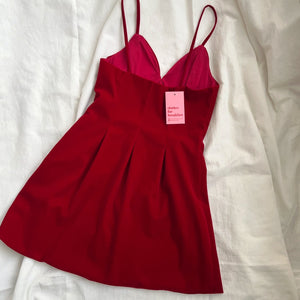 Ruby Velvet Dress